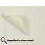 JAM Paper Laser/Inkjet Shipping Shipping Labels, 2" x 4", Ivory, 10 Labels/Sheet, 12 Sheets/Pack (17966070)~#|#~sp90422765_sc7