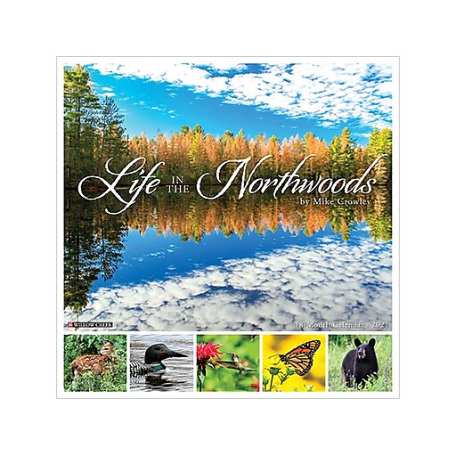 20202021 Willow Creek 12" x 12" Wall Calendar, Life in the Northwoods