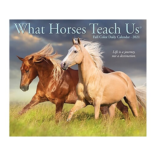 2021 Willow Creek 4.25" x 5.25" Desk Calendar, What Horses Teach Us