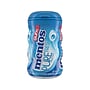 Mentos Pure Fresh Sugar Free Fresh Mint Gum, 50 Pieces/Pack, 50/Pack (PVM1508444)~#|#~sp91559814_sc7