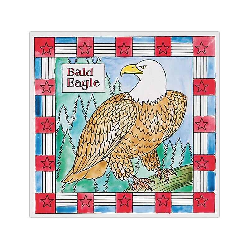 S&S Bald Eagle Painting, Multicolor, 12/Pack (GP3311) image 1