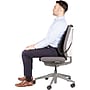 Fellowes Office Suites Back Support, Graphite (9191301)~#|#~sp91746446_sc7