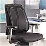 Fellowes Office Suites Back Support, Graphite (9191301)~#|#~sp91746447_sc7