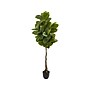 Nearly Natural Rubber Leaf Tree in Pot (9119)~#|#~sp92174536_sc7