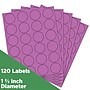 JAM Paper Circle Round Label Seals, 1 2/3" Diameter, Violet Purple, 24 Labels/Sheet, 5 Sheets/Pack (147627058)~#|#~sp92281277_sc7