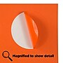 JAM Paper Circle Round Label Sticker Seals, 1 2/3" Diameter, Orange, 24 Labels/Sheet, 5 Sheets/Pack (147627053)~#|#~sp92281294_sc7