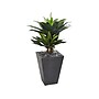 Nearly Natural Double Agave Succulent Plant in Pot (9517)~#|#~sp92290963_sc7