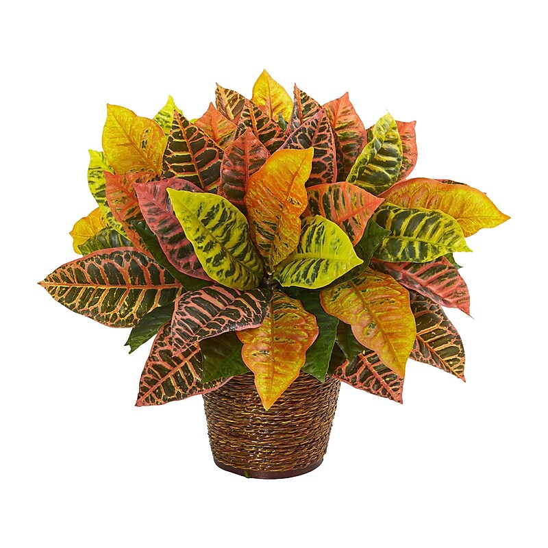 Nearly Natural Garden Croton in Basket (8870) image 1