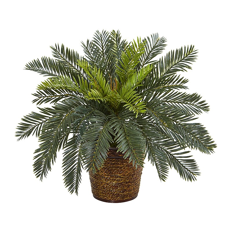 Nearly Natural Cycas in Basket (8875) image 1