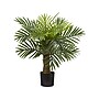 Nearly Natural Robellini Palm Tree in Pot (9452)~#|#~sp92368599_sc7