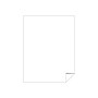 Astrobrights Astrodesigns Inkjet/Laser Sticker Paper Labels, 8 1/2" x 11", Matte White, 15 Sheets/Pack (91296-01)~#|#~sp92836495_sc7