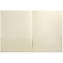 JAM Paper Handmade Two-Pocket Recycled Presentation Folders, Ivory Metallic, 100/Box (05964488B)~#|#~sp92923292_sc7