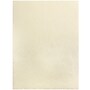 JAM Paper Handmade Two-Pocket Recycled Presentation Folders, Ivory Metallic, 100/Box (05964488B)~#|#~sp92923422_sc7