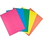 Crayola Project 100 lb. Cardstock Paper, 9" x 12", Vivid Colors, 25 Sheets/Pack (99-0083)~#|#~sp93402770_sc7