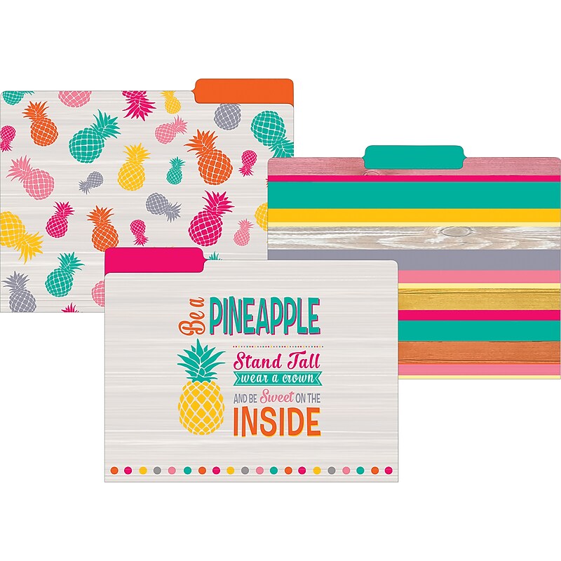 Teacher Created Resources Tropical Punch File Folders, 3-Tab, 11.75" x 9.5", Assorted Colors, 24/PK (TCR8538) image 1