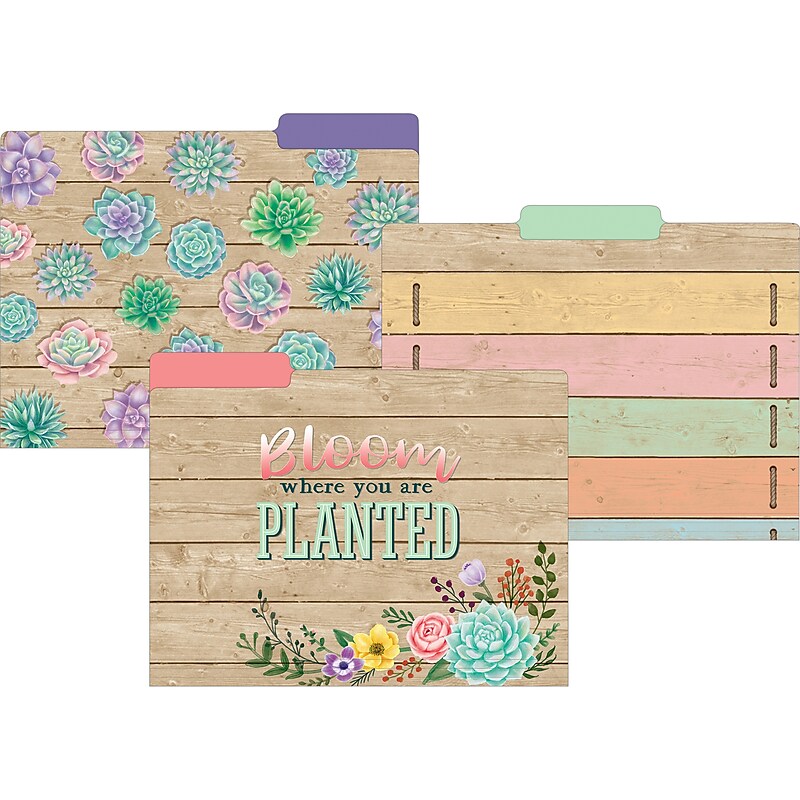 Teacher Created Resources Rustic Bloom File Folder, 1/3-Cut Tab, Letter Size, Assorted, 24/Pack (TCR8539-2) image 1