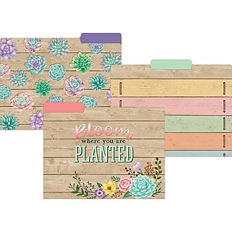 Teacher Created Resources Rustic Bloom File Folder, 1/3-Cut Tab, Letter Size, Assorted, 24/Pack (TCR8539-2)