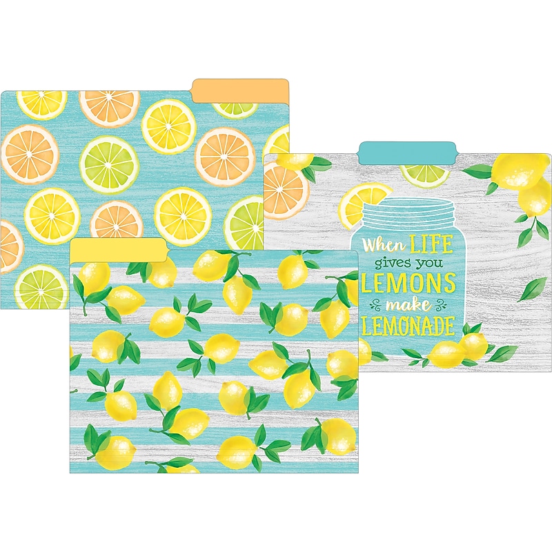 Teacher Created Resources Lemon Zest File Folder, 1/3-Cut Tab, Letter Size, Assorted Colors, 24/Pack(TCR8542-2) image 1