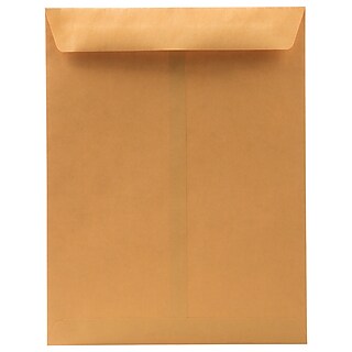 Confezione 500 Buste Per Ufficio Buste Catalogo Gommate Staples Economy 6x9 Pollici - Bianco, Confezione Da 500, Codice ST50303-CCVS Buste Cataloghi
