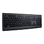 Lenovo Professional Combo Ergonomic Keyboard and Mouse, Black (4X30H56796)~#|#~sp95377643_sc7