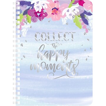 Carolina Pad Silver Lining 1-Subject Pocket Notebook, 5" x 7", College Ruled, 80 Sheets, Each (35000)