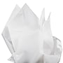 JAM Paper Tissue Paper, White, 10 Sheets/Pack (11534147)~#|#~sp97150744_sc7