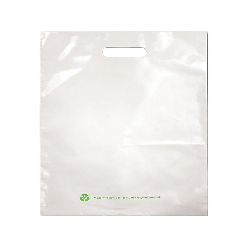 9" x 12" Gusseted Poly Bags, 2.25 Mil, White, 1000/Carton (PB67250) image 1
