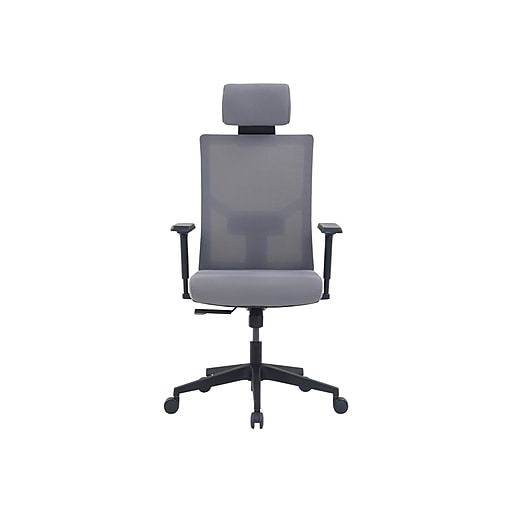 La-Z-Boy Ergonomic Executive Mesh Office Chair with Adjustable Headrest and Lumbar  Support Navy 51489-NVY - Best Buy