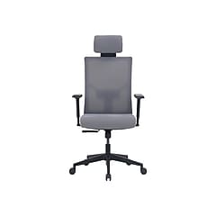 La-Z-Boy Mesh Back Molded Foam Computer and Desk Chair, Gray La-Z-Boy Mesh Back Molded Foam Computer and Desk Chair, Gray