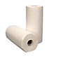 Evolution Paper Towels, 2-ply, 250 Sheets/Roll, 12 Rolls/Pack (PRO00495)~#|#~sp97620912_sc7