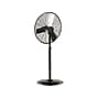 TPI Heavy Duty 30" Idustrial Pedestal Fan, 3-Speed, Black (08761702)~#|#~sp99547424_sc7