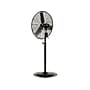 TPI Heavy Duty 30" Idustrial Pedestal Fan, 3-Speed, Black (08761702)~#|#~sp99547425_sc7